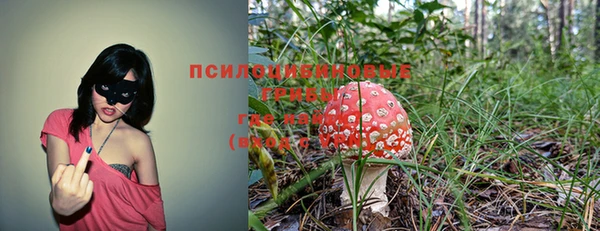 соль курить ск Абаза