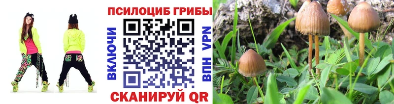 даркнет сайт  Людиново  Галлюциногенные грибы Psilocybine cubensis 